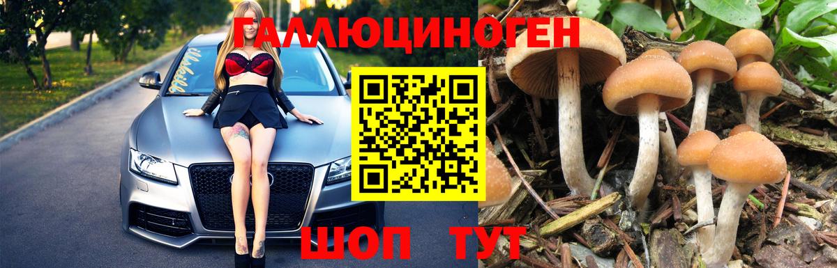 Псилоцибиновые грибы MAGIC MUSHROOMS Иваново
